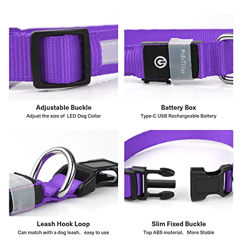 Light up Dog Collar (Purple / S(11 inch-15.7 inch))