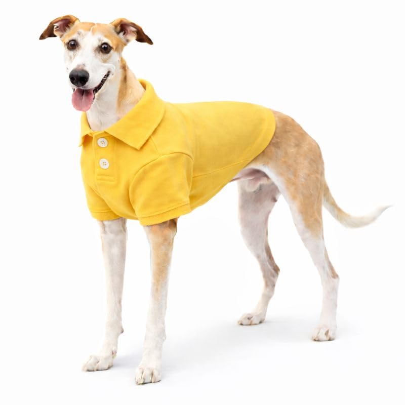 Basic Dog Polo Shirts Premium Cotton (XXXL (-75lbs) / Yellow)