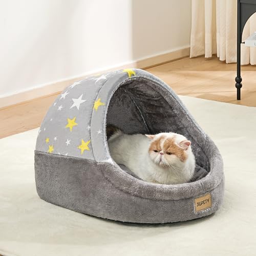 Cute Cat Beds for Indoor Cats (Medium / Gray)