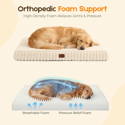 Orthopedic Dog Bed for XL Dog (Cream / 41"x27"x4")