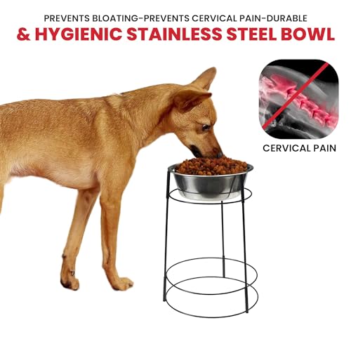 Hi Rise Single Diner Elevated Dog Feeder (Single)