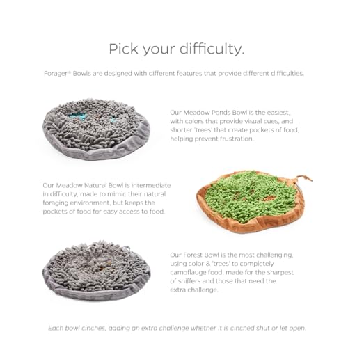Forager Bowls