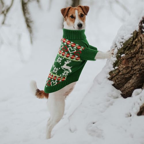 Dog Christmas Sweater (X-Small / Christmas Green)