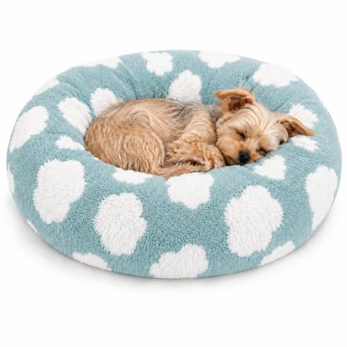 Cat Beds for Indoor Cats & Small Dog (Blue-White / 20.00" x 20.00" x 6.00")