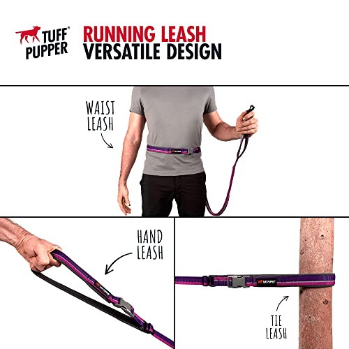Hands Free Adjustable Length Dog Leash (Punch Purple)
