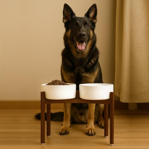 Raised Ceramic Dog Bowls Set with Non (60.87 Oz / White)