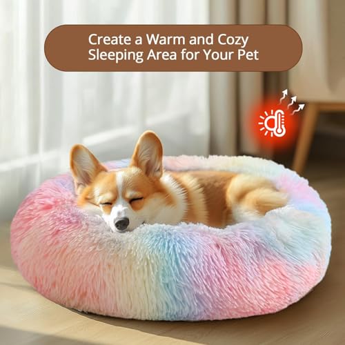 Calming Dog Bed Medium Size Dog (Rainbow / 31.0"L x 31.0"W x 8.0"Th)