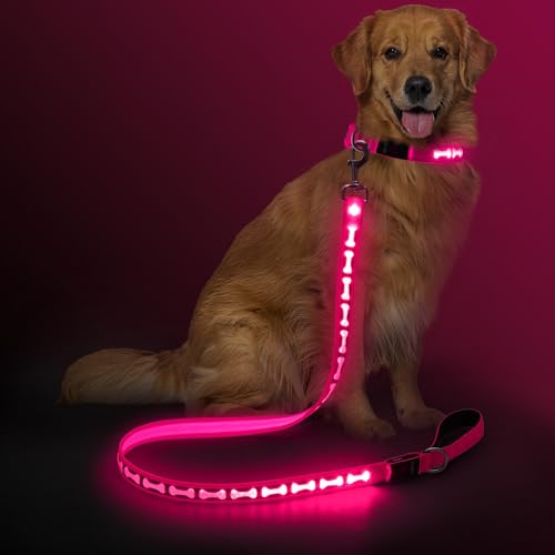 Light Up Dog Leash (Pink)