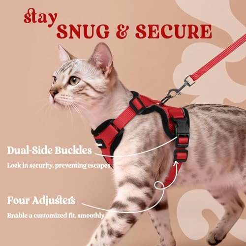 Cat Harness and Leash Set (M / Red)