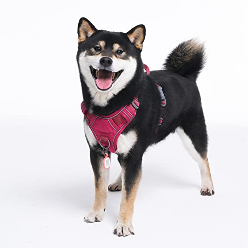 Small Dog Harness (S (Bigger than Normal (Chest: 17"-22'' )) / Wine Red)