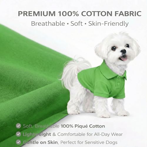 Basic Dog Polo Shirts Premium Cotton (XS (-6lbs) / Green)