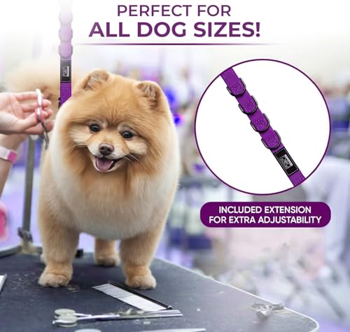 Dog Grooming Loop (Purple)
