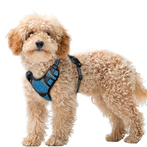 Dog Harness for Small Sized Dog No Pull Dog Vest ID Tag Pocket (Blue/Black / X-Small)
