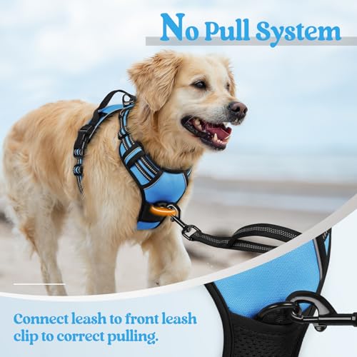 Dog Harness No Pull Medium Sized with 2 Leash Clips (Medium / Blue)