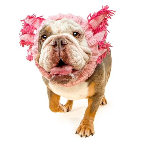Axolotl Dog Costume (Axolotl / Large)