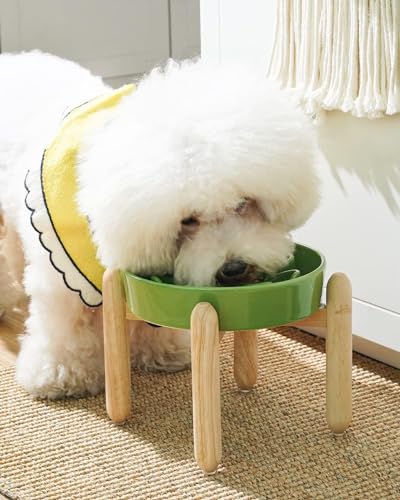 Ceramic Slow Feed Dog Bowls (Clover Green+Stand / S-0.6 Cups)
