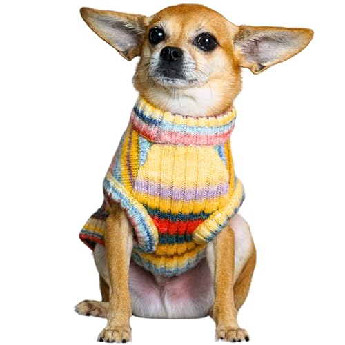 Dog Sweater Award Winning Christmas Sweater for Small Dogs (16 inch / Rainbow Hue)