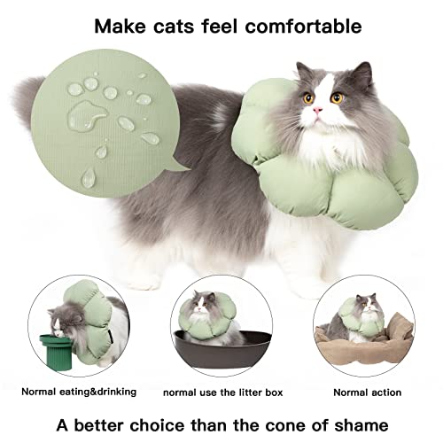 Cat Cone Collar (Small / Green Flower)
