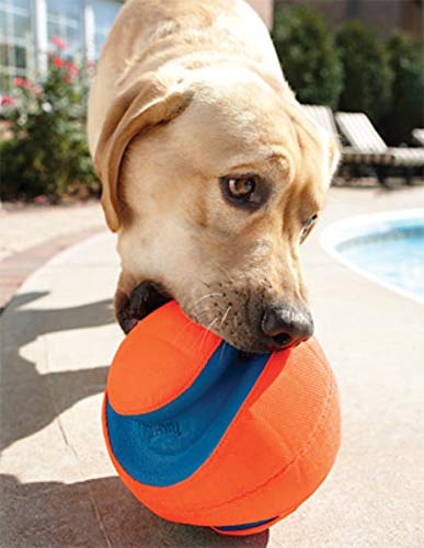 Kick Fetch Ball Dog Toy (Small / Classic)