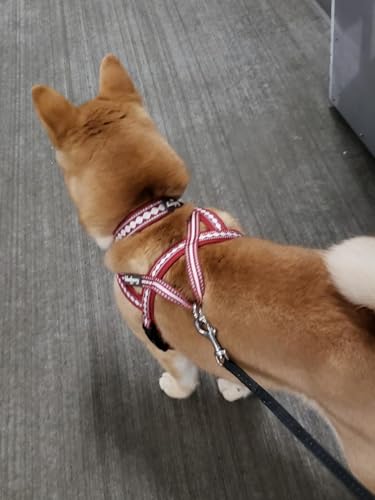 4 Colors Soft & Comfy 3M Reflective Jacquard Padded Dog Harness (Small(16.5" - 21") Chest Girth / Marsala Red)