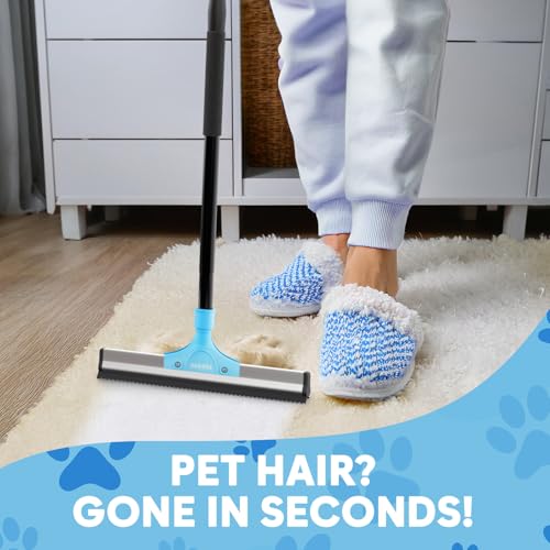Carpet Rake for Pet Hair Removal
