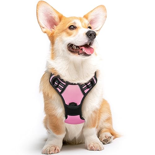 Dog Harness for Medium Sized Dogs (Medium / Pink)