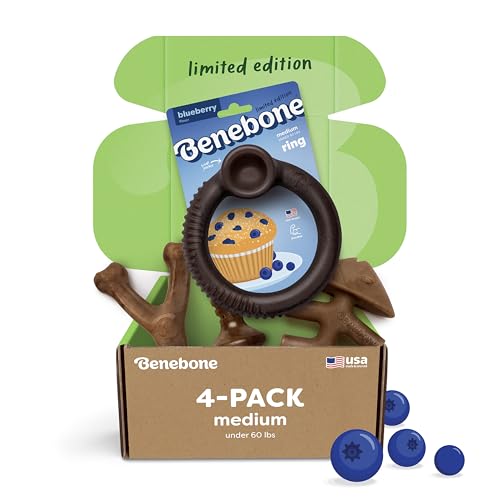 Blueberry Medium 4 (Medium / Limited Edition 4 Pack)