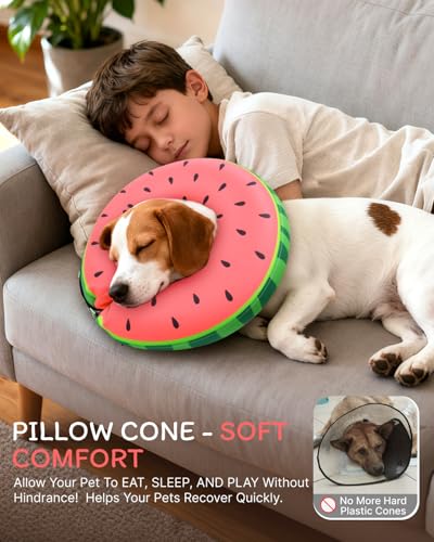 Inflatable Dog Cone (Red / S(9"-10"))
