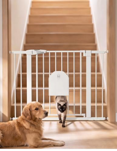 Auto Close Dog Gate with Cat Door (White / 29-43" Wide, 30" Tall | Standard)