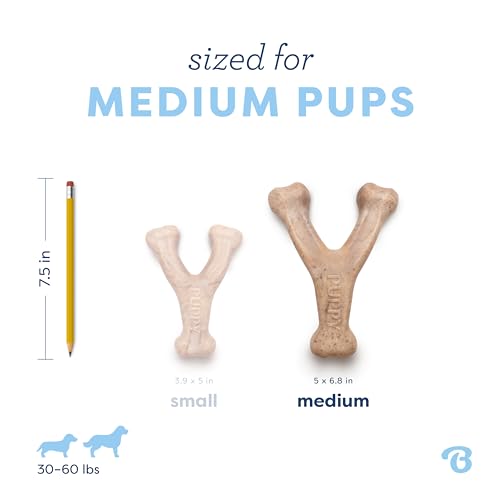 Puppy Wishbone Dog Chew Toy for Gentle Chewers (Puppy Medium)