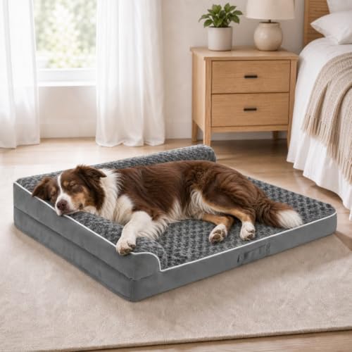XXL Orthopedic Dog Bed (48.0"L x 35.0"W x 7.5"Th / Dark Grey)