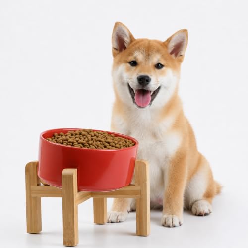 Elevated Raised 15°Slanted Ceramic Dog Bowl for Small and Medium Breeds (Rust Red / 3.6 CUPS - Medium Dog Bowls)