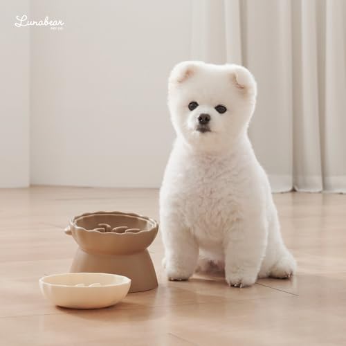 Slow Feeder Dog Bowls Made of Premium Food (Ivory / Doggy)