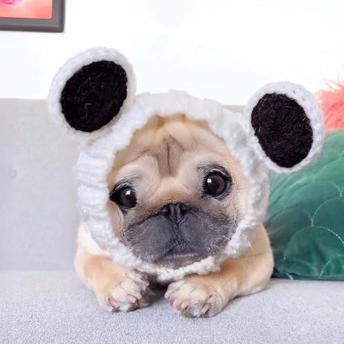 Panda Costume (Large / Panda)