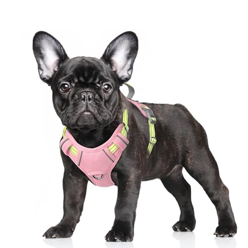 Dog Harness for Small Sized Dog No Pull Dog Vest ID Tag Pocket (Baby Pink & Sunlight / Small)