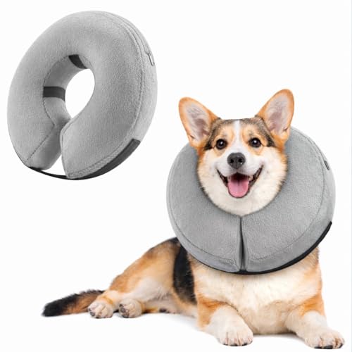 Inflatable Dog Cone Collar Alternative (Grey / XS [5"-8"])