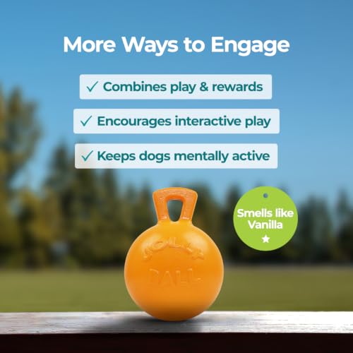 Tug-n-Toss - Heavy Duty Chew Ball w/ Handle (Orange, 8") (Orange / Large (8 in))