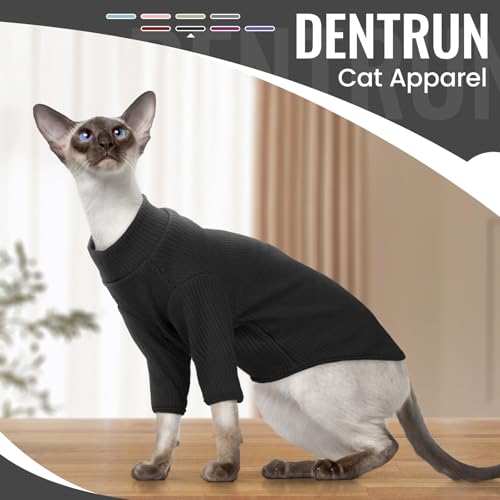 Hairless Cat Shirt (Medium / Black)