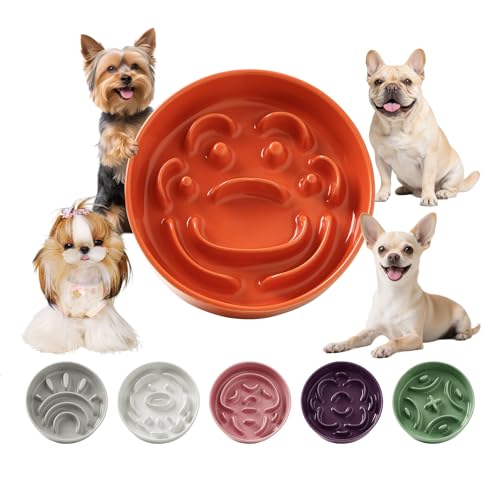 Ceramic Slow Feeder Dog Bowl (Orange / Small without Stand)