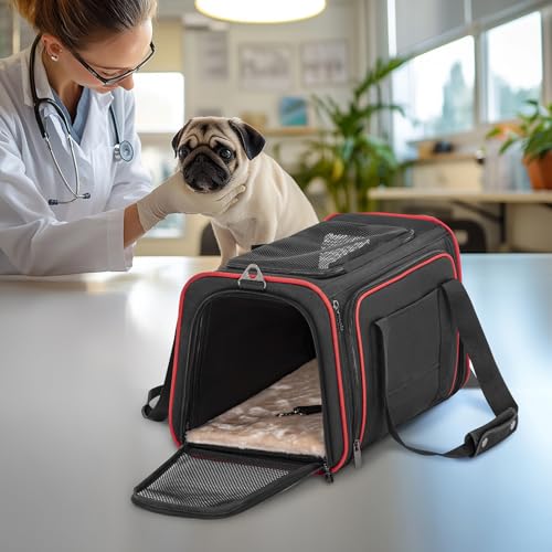 Large Expandable Cat Carrier for Travel (19"L x 12"W x 12"H / Black)