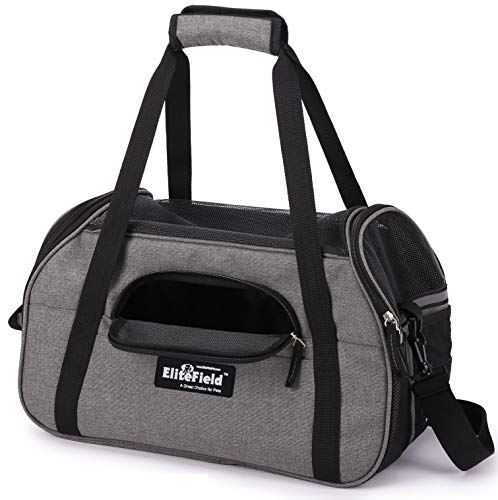 Soft Sided Pet Carrier for Cats & Small Dogs (21.0"L x 12.0"W x 13.0"H / Charcoal Gray)