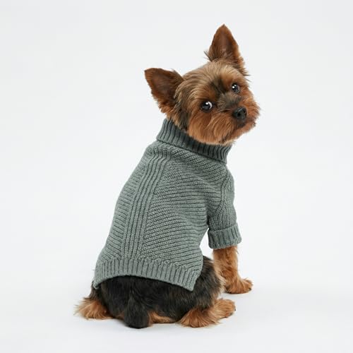 Dog Turtleneck Sweater (X-Small / Heather Grey)