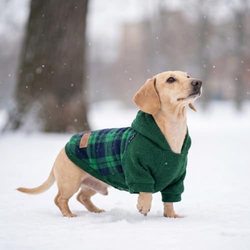 Tartan Plaid Dog Hoodie (X-Large / Green)