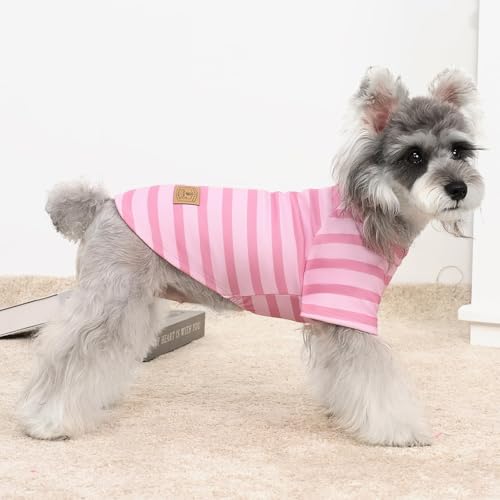 4 Pack Dog Sweaters Comfy Dog Clothes with Sleeves Puppy Shirts Pullover Pet Sweatshirt for Small Medium Large Dogs Boy Girl Doggy Outfits Cat Apparel (X-Small / Orange, Grey)