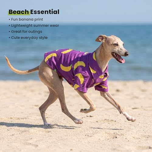 Banana Dog Shirt (Large / Banana)