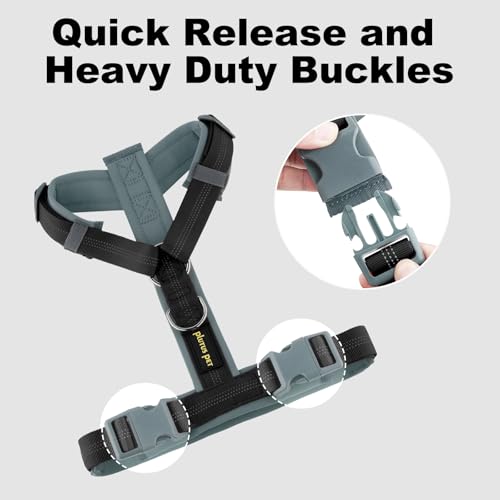No Pull Dog Harness (M / Black)