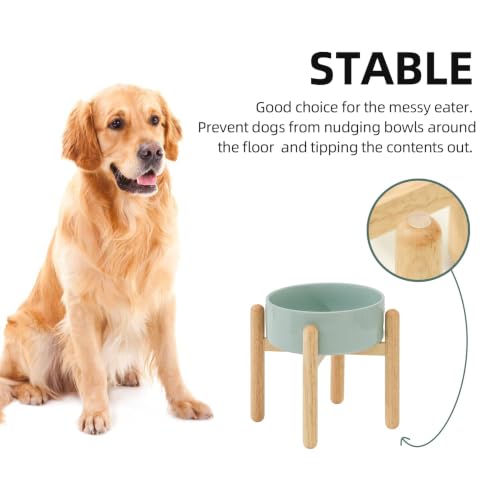 Ceramic Dog Bowls Elevated (Light Green)