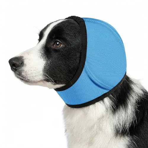 No Flap Ear Wraps for Dogs (Blue / L)