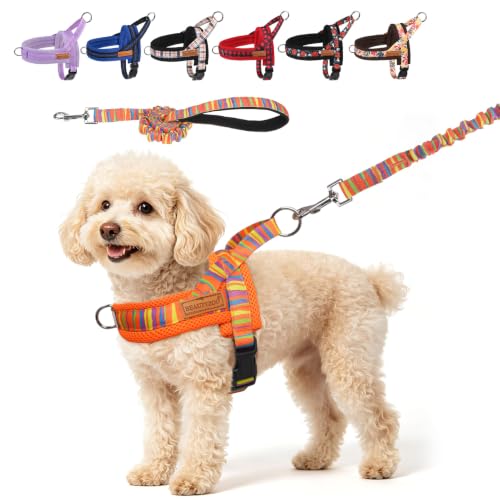 Dog Harness Medium Sized and Leash Set (Mix Orange / M: Chest 21"-26.7")