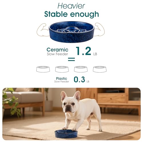 Slow Feeder Dog Bowl (S - 0.6 Cups / Blue)